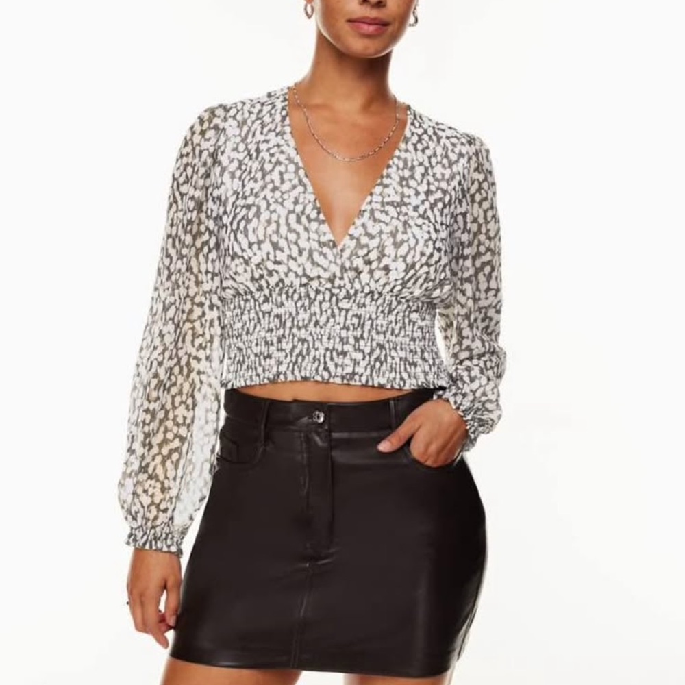 Aritzia/Wilfred Whistful Blouse